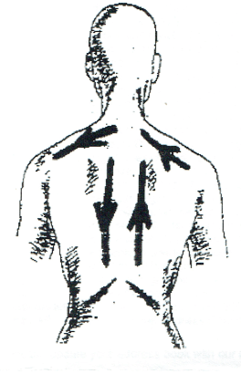 Schröpfi Massage Rücken Schröpfi Massage Rücken